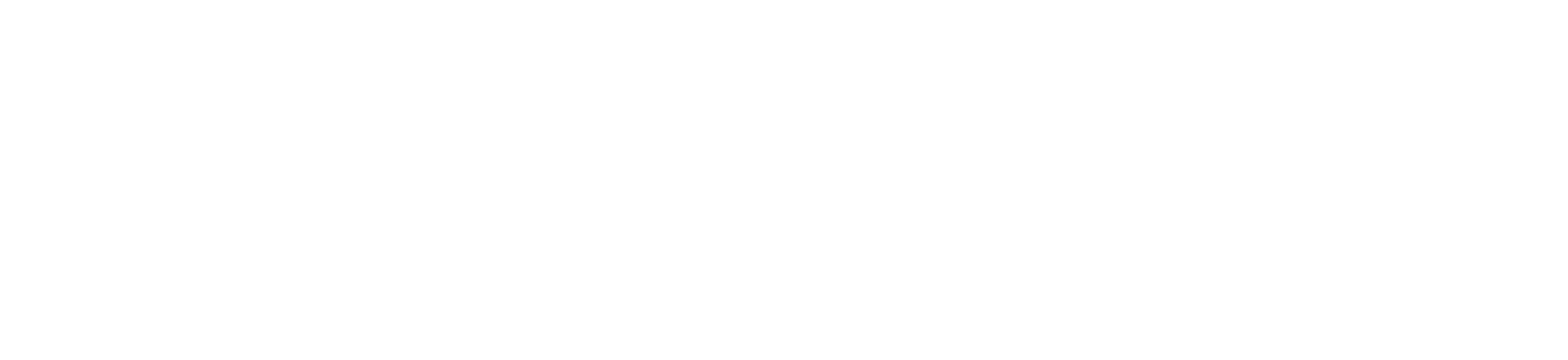 DVNederland